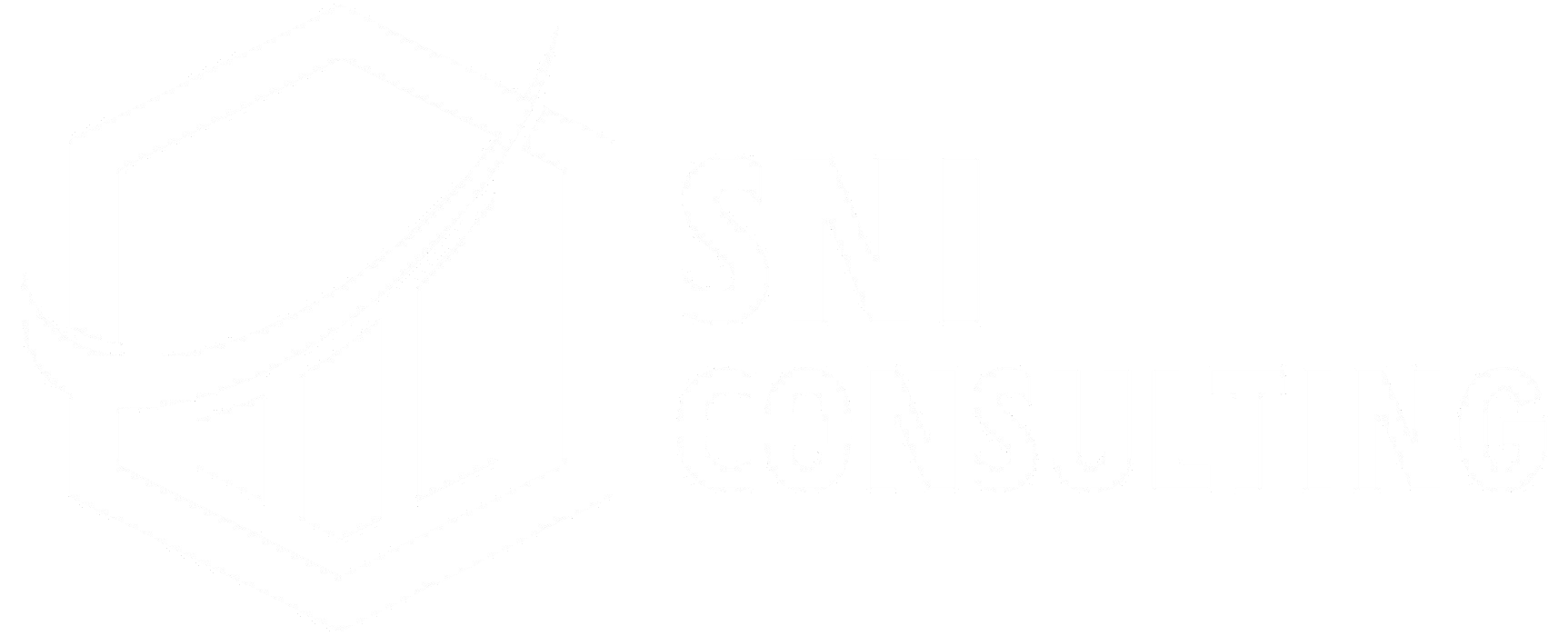 SNI Consulting
